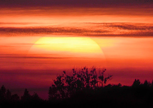 Sunset by Claude@Munich, germany bavaria upperbavaria egling ergertshausen trees sun sunset sky clouds evening silhouette cla