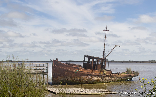 Barco abandonado (14)