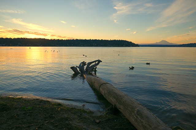 Seward Park - Lake Washington & Mt. Ranier