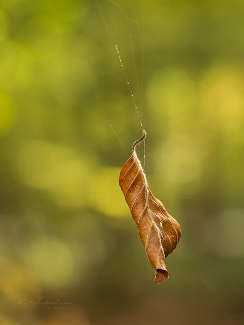 Hanging (by a thread)