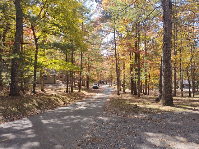 Douthat cabin road