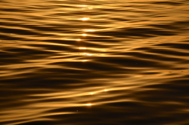 Золотое море...!.....The golden Sea..!