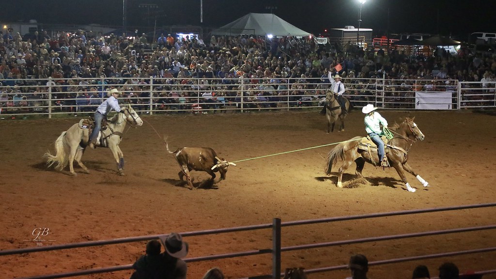 Pickens Sc Rodeo South Carolina Rodeo | In this difficult lighting photo, I w… | Flickr