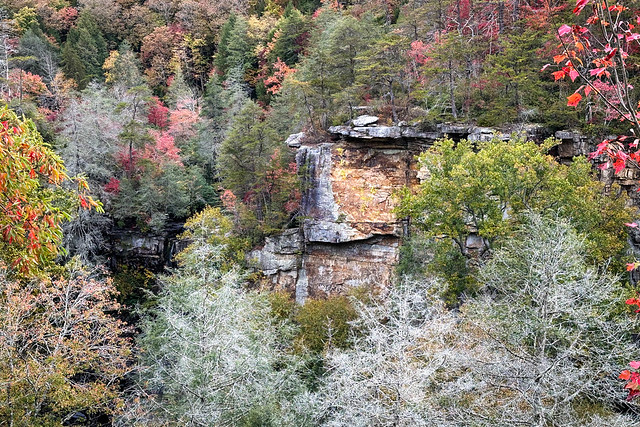 Fall Creek Falls SP Oct 2023-4