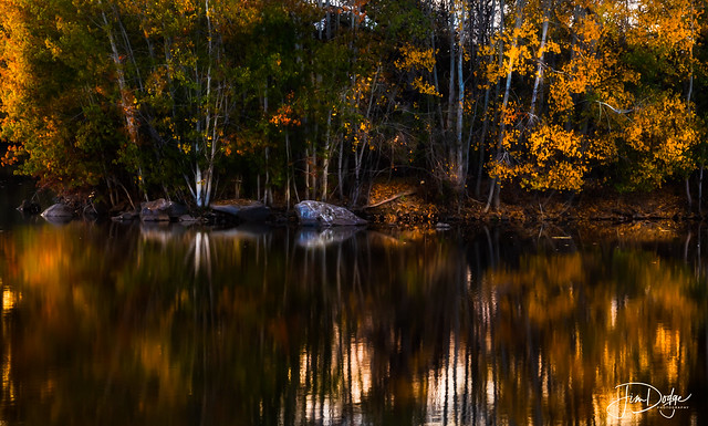 Autumn on a Quiet Pond