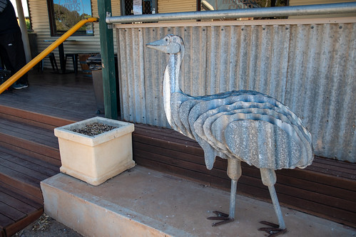 Another Metal Emu 