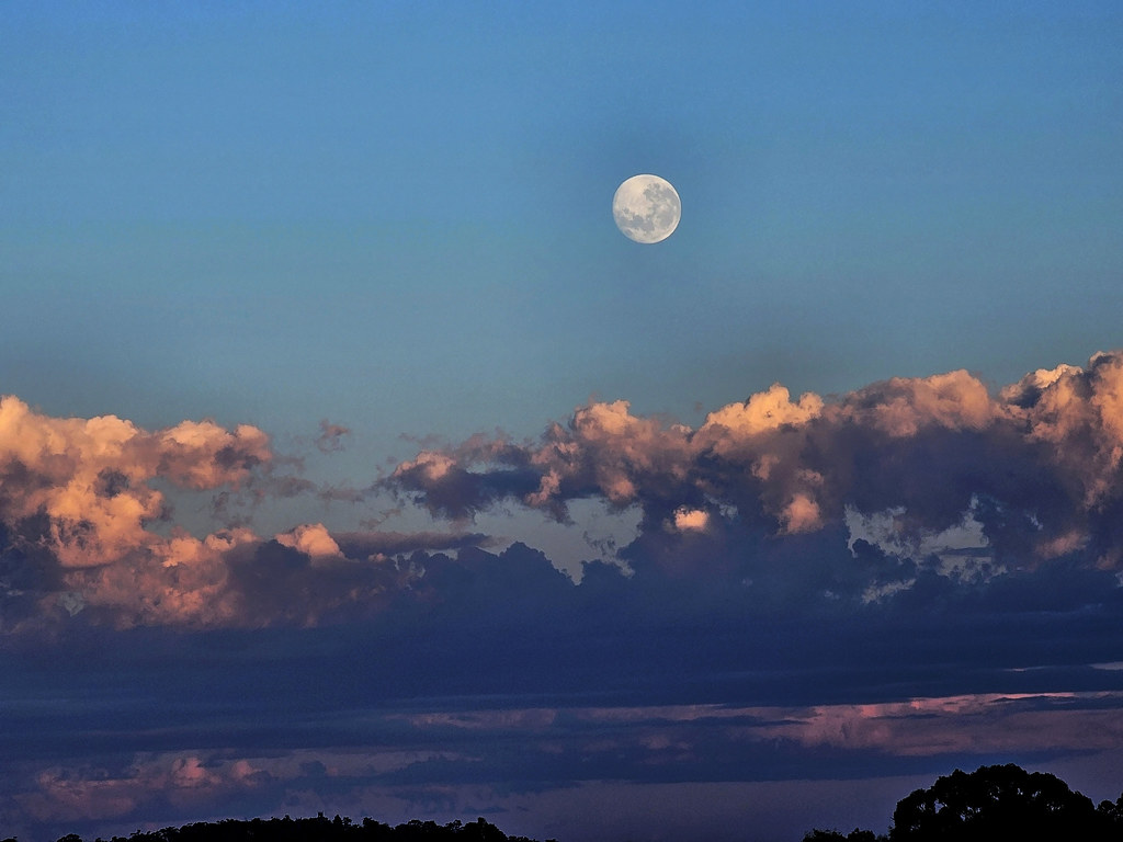Spring moon : In the morning . . . | This image is included … | Flickr