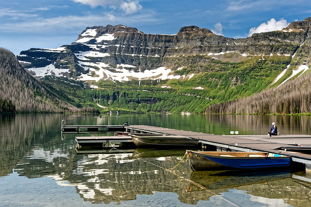 Life in the Mountains of Waterton Lakes National Park