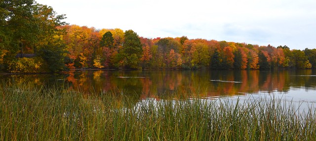 Fall colors at Bear Run Area @ Lake Arthur - Moraine State Park, Butler County
