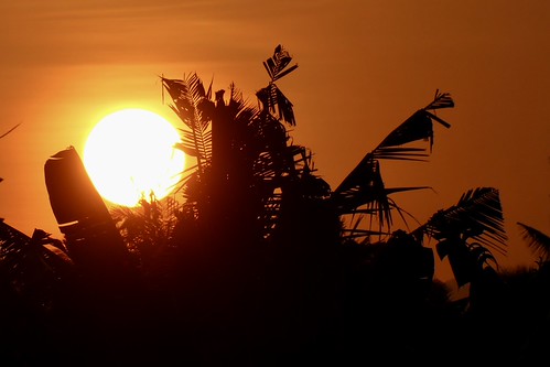 Banana sunrise, Lovina, Bali, Indonesia by Konstantin's Europe and more Thx4˃3MMviews, P0