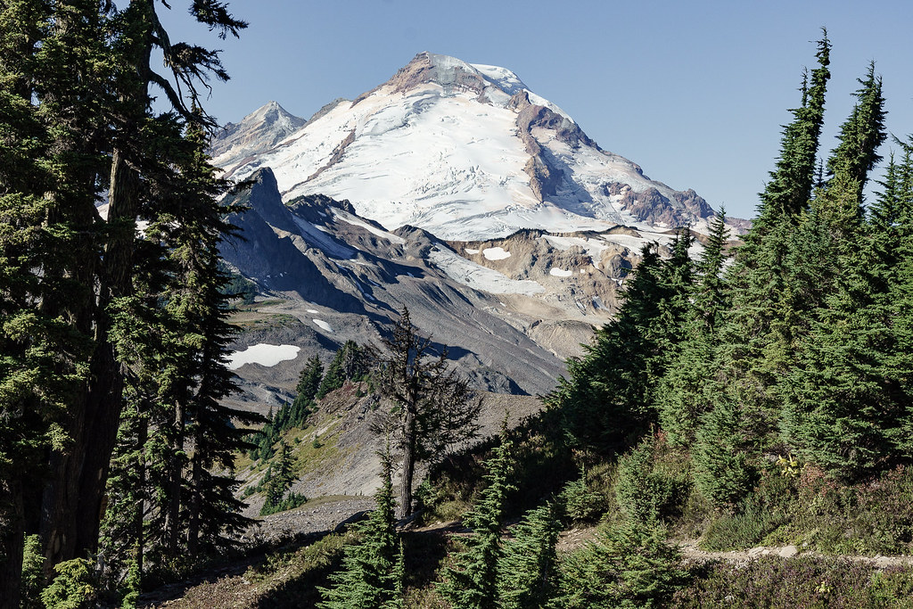 Mount Baker from the trail