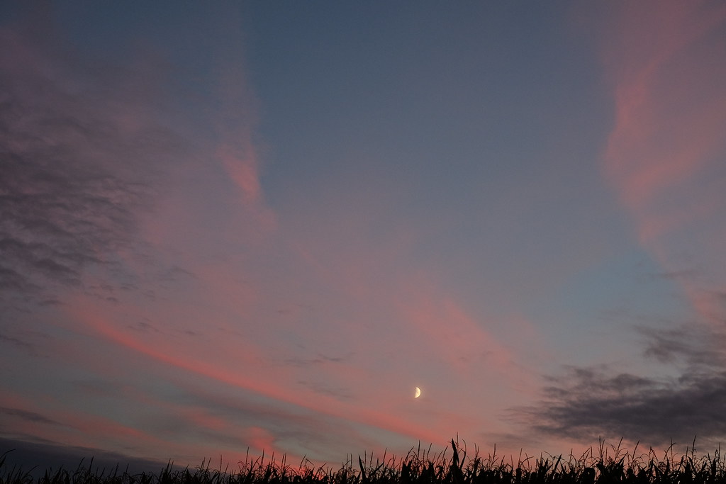 Autumn half moon against pink sunset sky DSCF3075