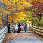 Getting the Down Low on Fall Photography [IMG_0850_cr] Managed to interrupt Lisa Karr while she was working this evening at Big Hill Park. Not bad for a quick handheld shot at a slow 1/60 sec shutter (ISO 320 f/5.6 at 96mm). Photo AI was a lot of help to make these worth sharing. 

Observation: the older you get, the harder it is to get up, and the more it hurts when you do. I know these things.
