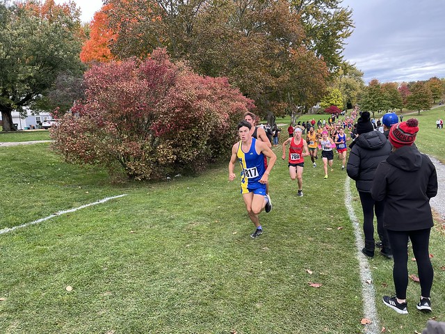 OHSAA NEO District Cross Country Meet