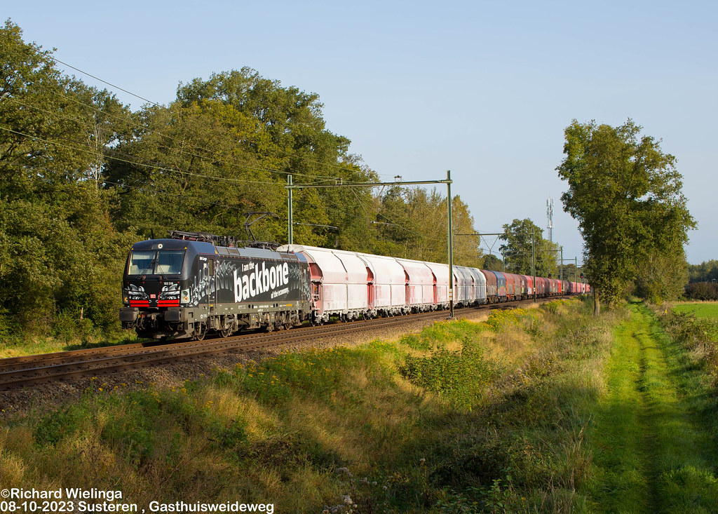 DB 193 318 + kalk/staal trein