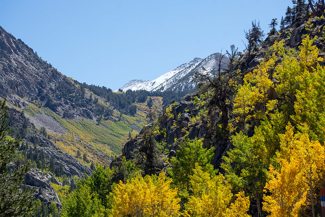 Autumn Roadtrip in Eastern Sierra