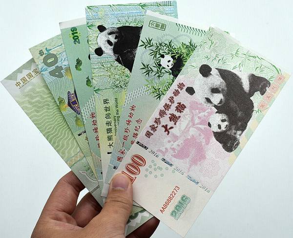 Giant Panda Banknotes Set3