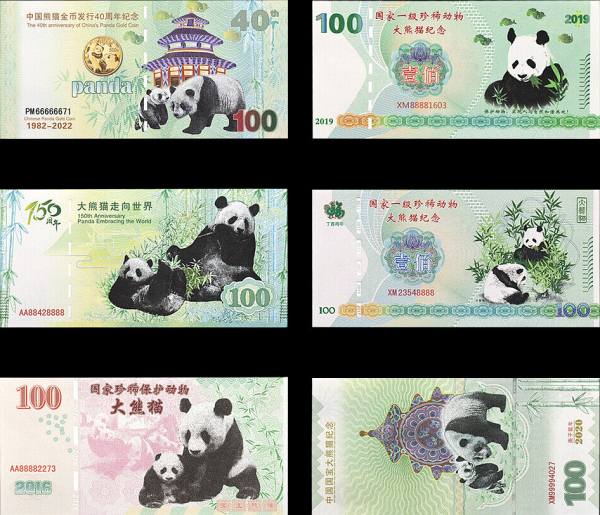 Giant Panda Banknotes Set