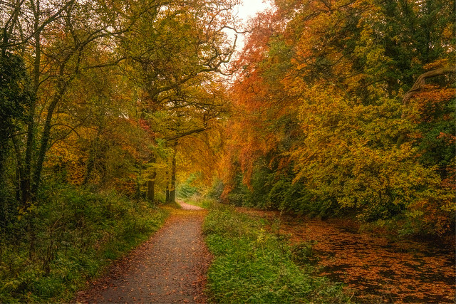 Autumn Walk along the Boyne Canal