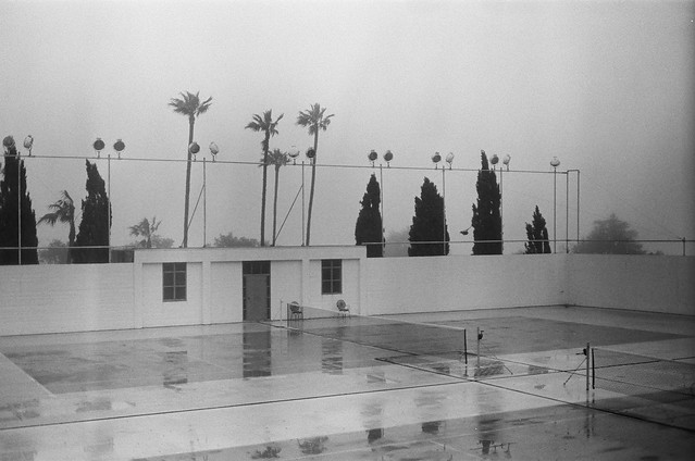 tennis court (and palm trees) in the fog