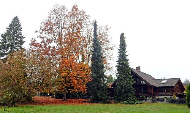 Log house on the shores of Como Lake