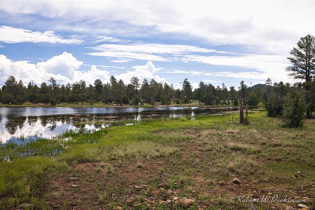 Woodland Lake, Pinetop–Lakeside, Arizona I