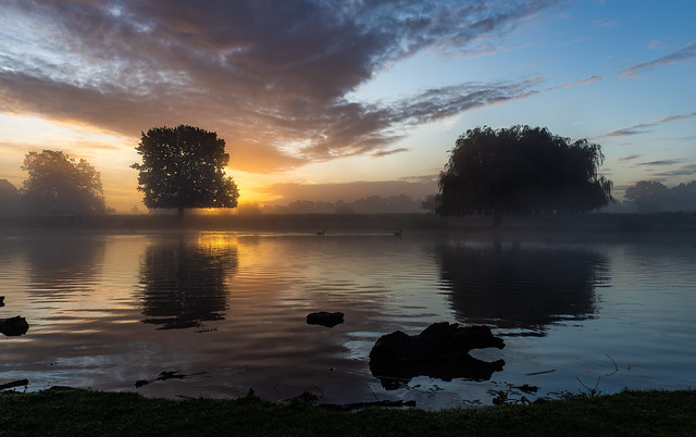Sunrise over lake at Bushy Park