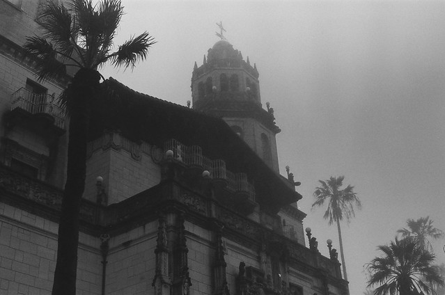 hearst castle and palm trees in the fog
