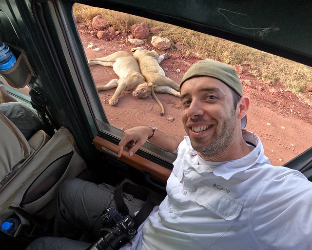 Selfie con leones en Tanzania de Luna de miel