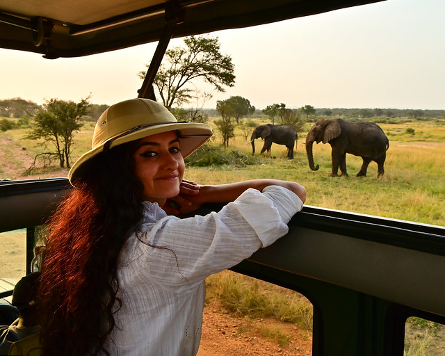 Contemplando elefantes en el Parque Nacional del Serengueti
