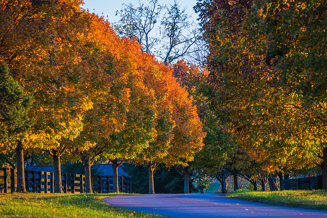 Autumn colors of a Kentucky farm