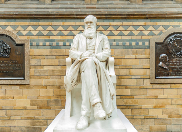 Statua Charles Darwin - Natural History Museum