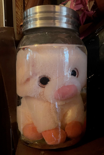 Baby Pig in Jar