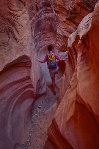 Geologic Time Travel