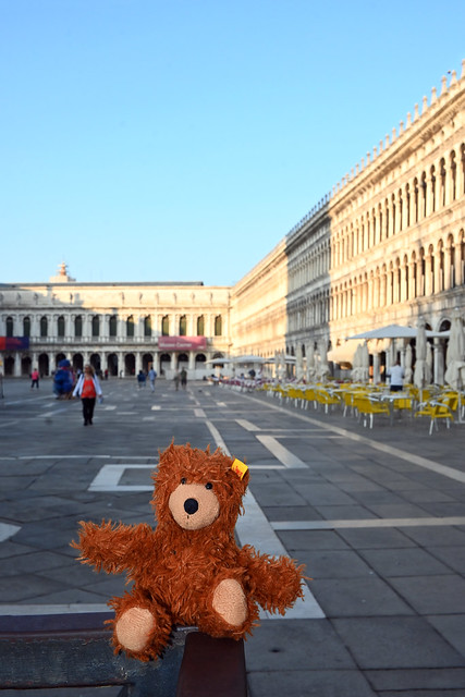 Josef the bear on a famous square