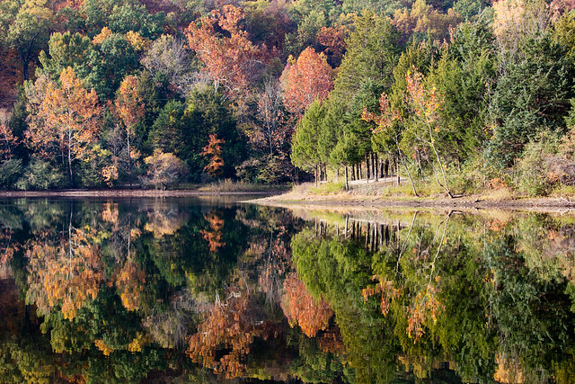 Fall Reflections