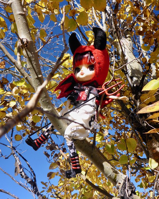 October: Dals in trees 53283681443_1a74a5dff1_z