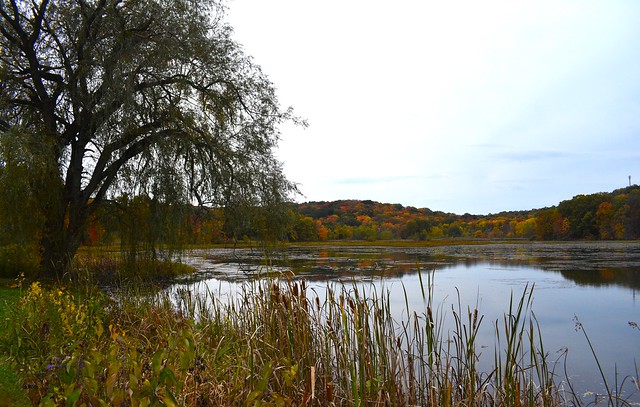 Fall colors @ Lake Arthur - Moraine State Park, Butler County