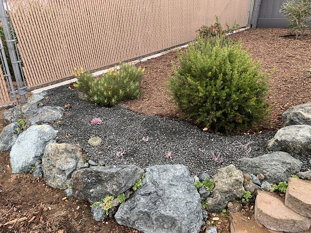 New retaining wall bed