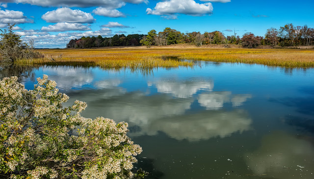 Great Marsh Fall Panorama  (in Explore #486 20231026)