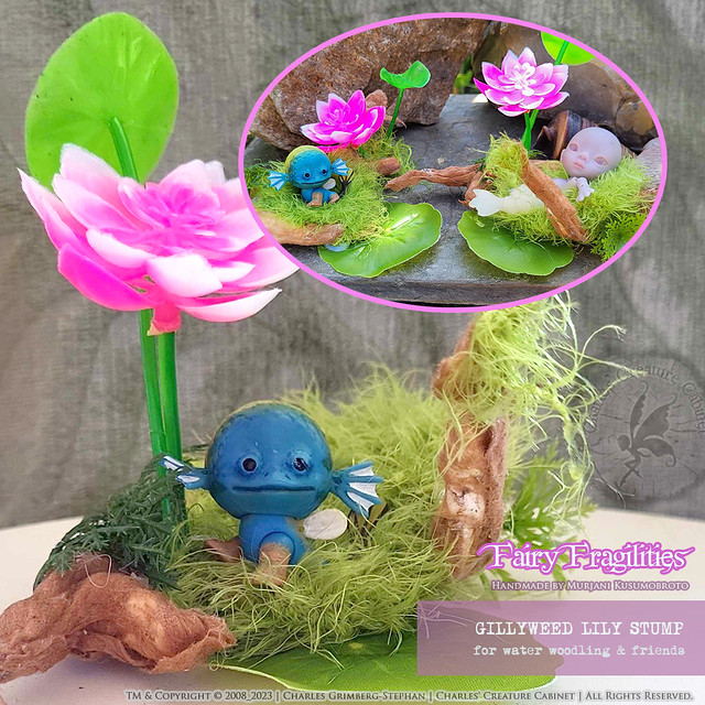 [LILY] stump for your wee water woodling
