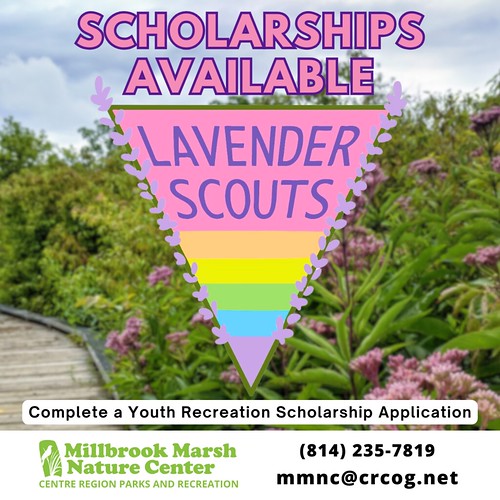 MMNC_Lavender Scouts scholarships available