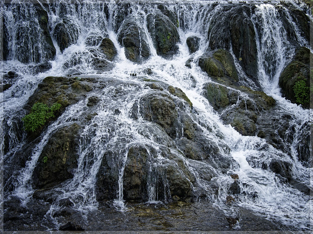 waterfall with ducks