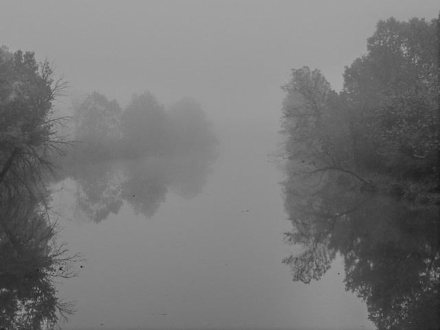 Foggy Morning Black & White