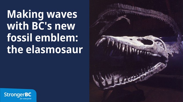 The elasmosaur is now British Columbia’s official fossil emblem.