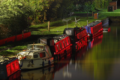 Odd One Out | by Yorkshire Pics