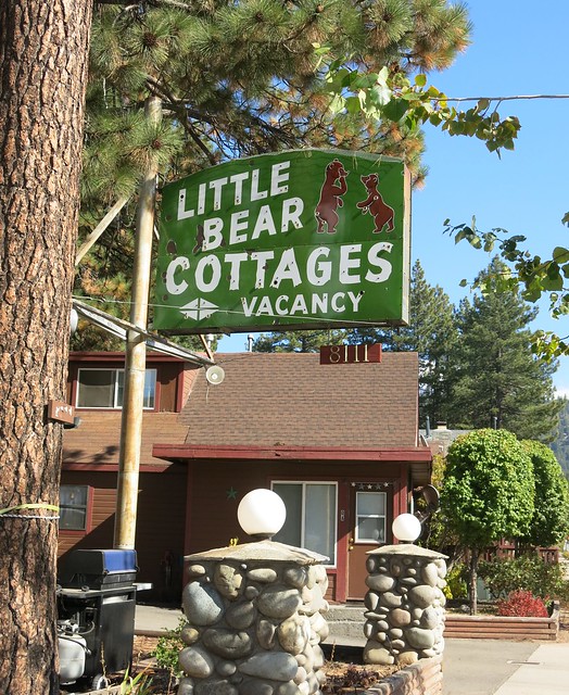 Little Bear Cottages Porcelain Sign by Sierra Neon