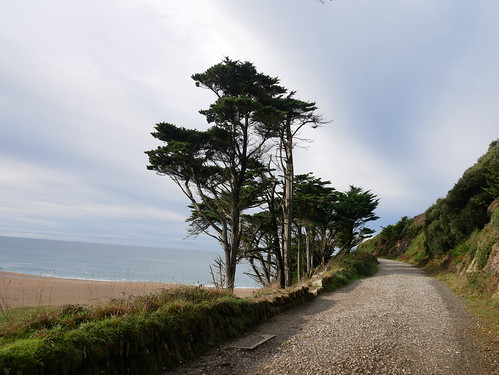 Penrose Path to the Coast
