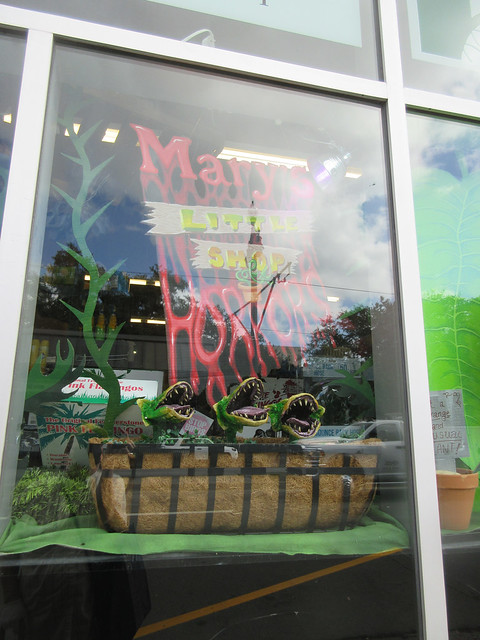 Mary's Ace Hdwr windows decorated for Halloween
