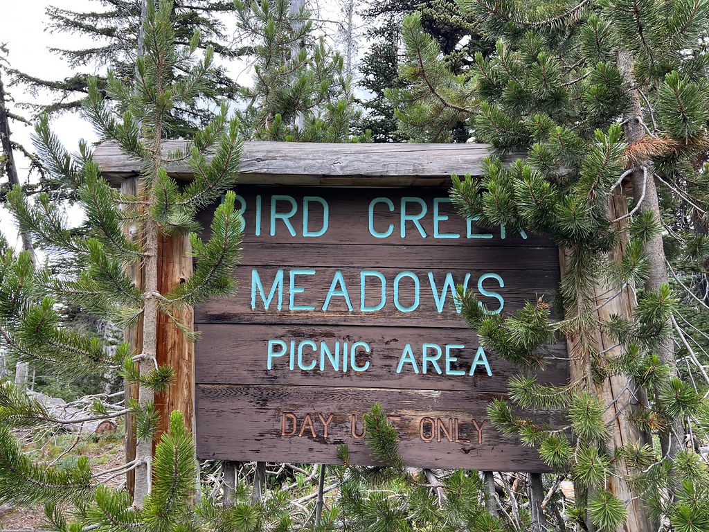 Bird Creek Meadows Hike